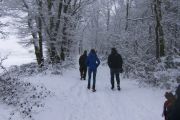 winterwandeling-02-2013-01