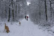 winterwandeling-02-2013-02