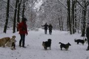 winterwandeling-02-2013-03