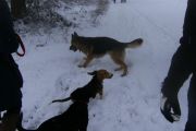 winterwandeling-02-2013-04