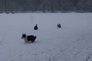 winterwandeling-02-2013-05