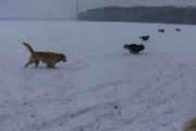 winterwandeling-02-2013-06