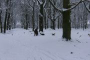 winterwandeling-02-2013-08