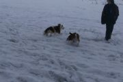 winterwandeling-02-2013-09