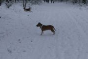 winterwandeling-02-2013-10