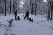 winterwandeling-02-2013-11