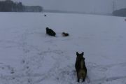 winterwandeling-02-2013-12