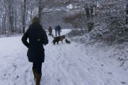 winterwandeling-02-2013-13