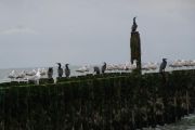 zoutelande-2012-02